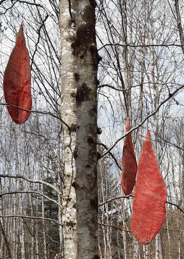 LandArt-Spaziergang im Hägelberger Forst